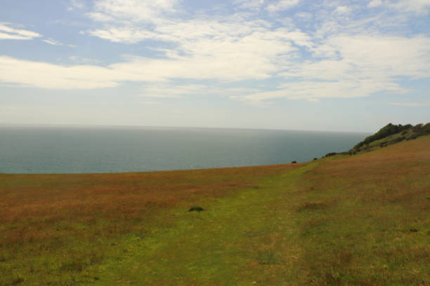 istock Staring out to sea from the south Cornwall coast 1285464500