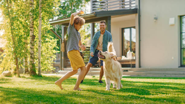 ハンサムな父、息子は忠実な家族の友人ゴールデンレトリバー犬とキャッチを果たします。家族は一緒にトレーニング犬の時間を過ごす。晴れた日牧歌的な郊外の家の裏庭。 - ball horizontal outdoors childhood ストックフォトと画像