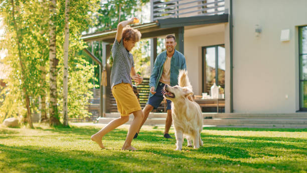 handsome father, and son play catch with loyal family friend golden retriever dog. family spending time together training dog. sunny day idyllic suburban home backyard. - lawn imagens e fotografias de stock