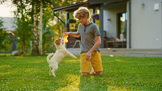 Boy playing with a dog at the lawn at back yard of country house at sunset, happy mother enjoys their game