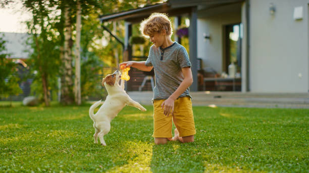 cute boy brinca com seu amigo cachorro favorito enquanto faz piquenique ao ar livre no gramado. ele se acaricia e provoca seu pequeno fox terrier suave com seu brinquedo favorito. idílica casa de verão. - puppy dog toy outdoors - fotografias e filmes do acervo