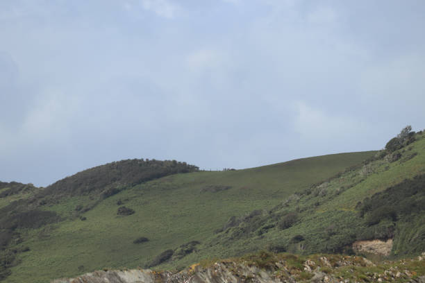 istock Staring out to sea from the south Cornwall coast 1285466748