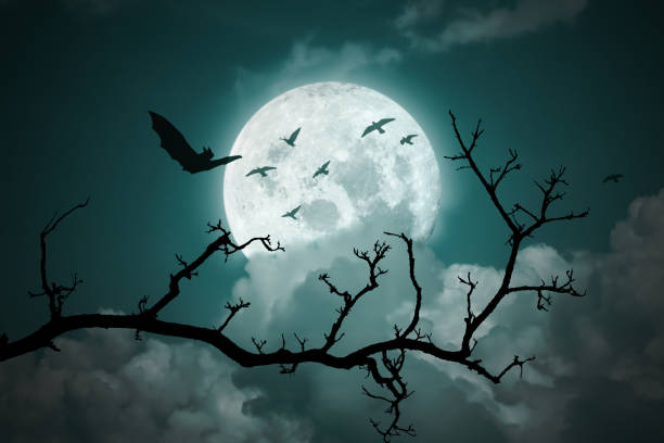 istock Halloween background. Full moon in the night sky. 1285466763