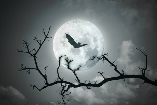 istock Halloween background. Full moon in the night sky. 1285466785