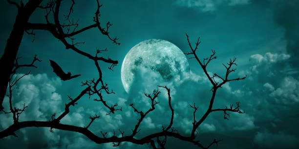 istock Halloween background. Spooky forest dead tree with full moon sky. 1285466792