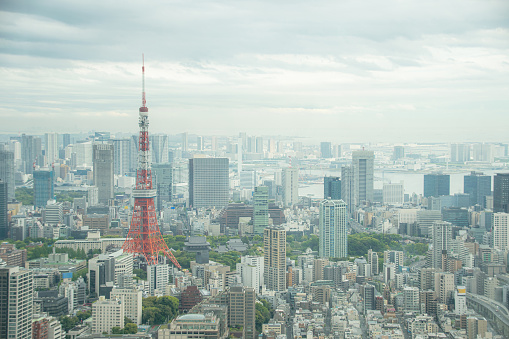 Long distance shot from Shinjuku to Asakusa area, and Tokyo skytree is also in there.