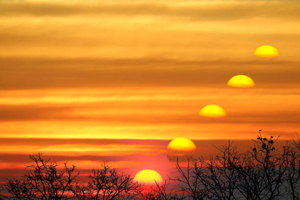 incredible sunset sky and silhouette tree and birds flying come home
