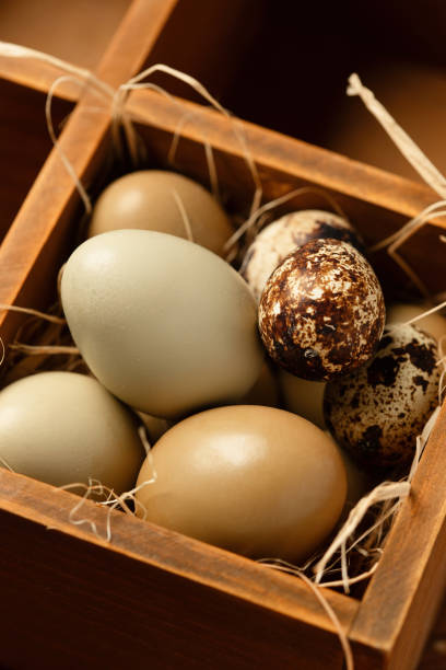 istock Wooden division eggs and quail eggs in the container 1285468277