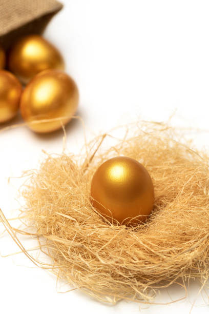 istock There is no place like home in golden eggs 1285468310