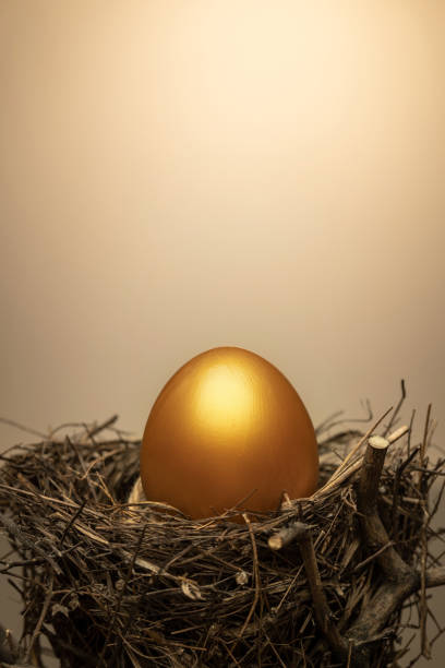 istock The gold in the bird's nest egg 1285468633