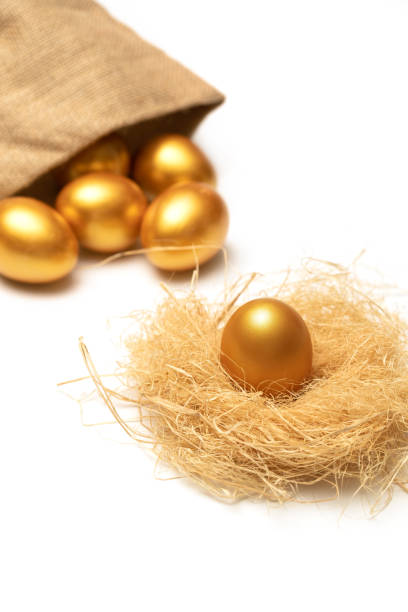 istock There is no place like home in golden eggs 1285468656