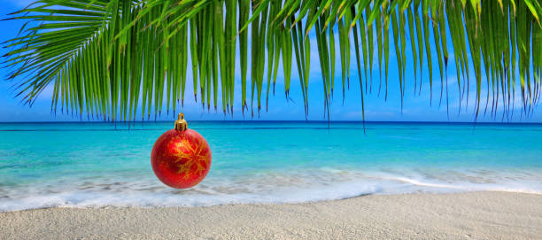 Christmas Ball hanging on a Palm Tree Branch. Travel Background. stock photo