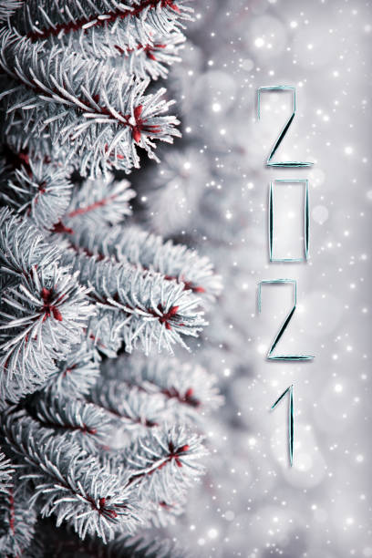 istock Cristmas background with pine tree branches .New Year 2021 Card. 1285468879