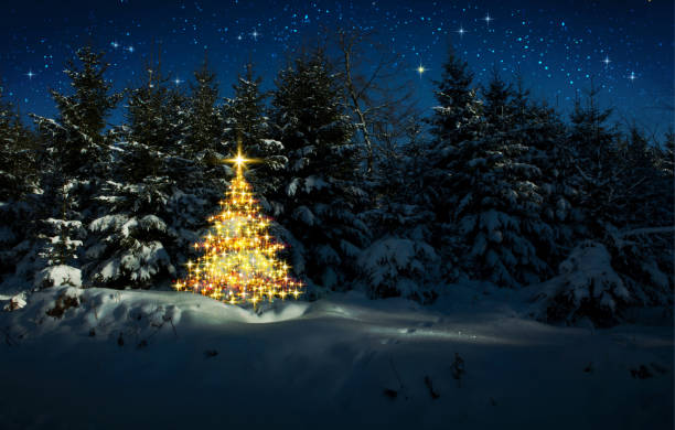 goldener weihnachtsbaum im winterwald und sternenhimmel. weihnachtskarte. - christmas christmas tree snowing blue stock-fotos und bilder