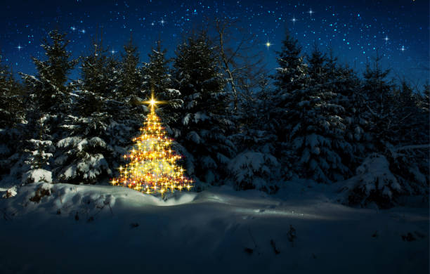 Golden Christmas tree in winter forest and stars sky.Christmas Card. stock photo