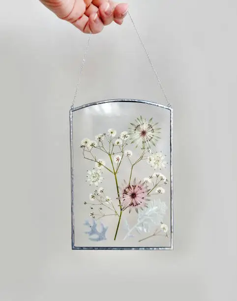 Handmade stained Glass window with Herbarium of Dried Flowers and dried herbs in a metal frame made tiffany technique. Home decor on beige wall background. Step-by-step master class, needlework