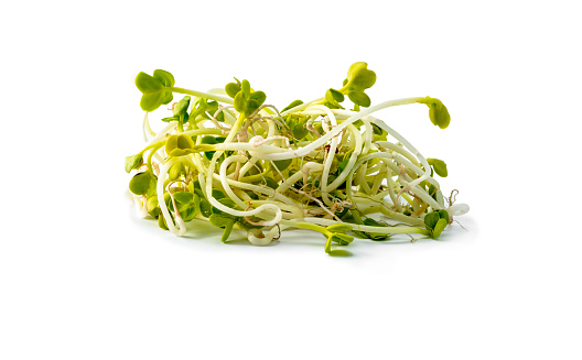 Cut young shoots microgreen of red radish coral and green arugula on in a glass transparent plate. Light yellow background. Close up. Concept of healthy eating, wholesome foods, vegetarianism.