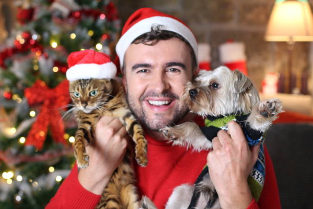 istock Cat and dog together for Christmas 1285474486