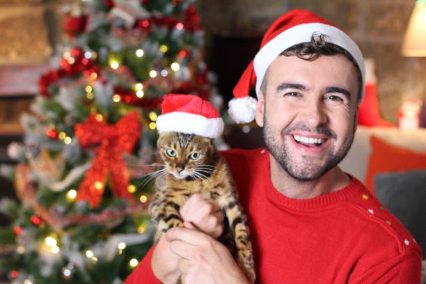 istock Cute exotic bengal cat dressed for Christmas 1285474494