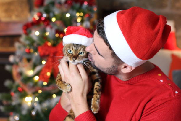 istock Cute exotic bengal cat dressed for Christmas 1285474507