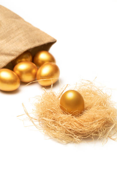 istock There is no place like home in golden eggs 1285474510
