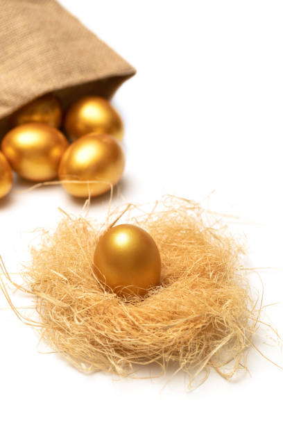 istock There is no place like home in golden eggs 1285474511