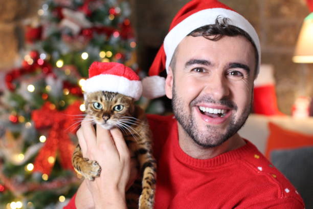 istock Cute exotic bengal cat dressed for Christmas 1285474524