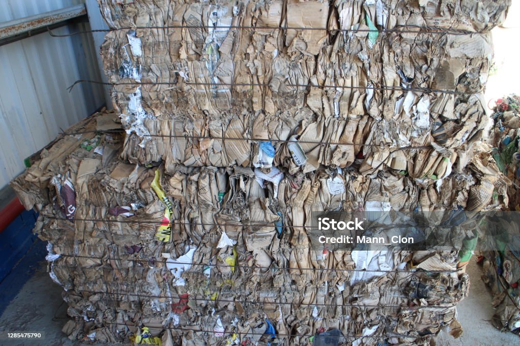 Pressed cardboard in a bale Business Stock Photo