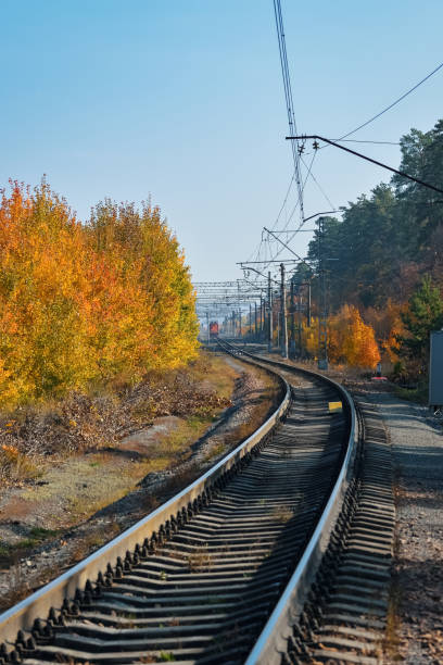 istock The railway passes through a beautiful autumn forest with colorful trees. 1285477961