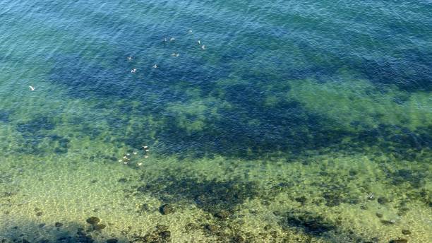 istock Crystal Clear Baltic Sea Water Seen from a Cliff 1285479705