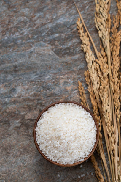 istock A bowl of rice and rice 1285481281