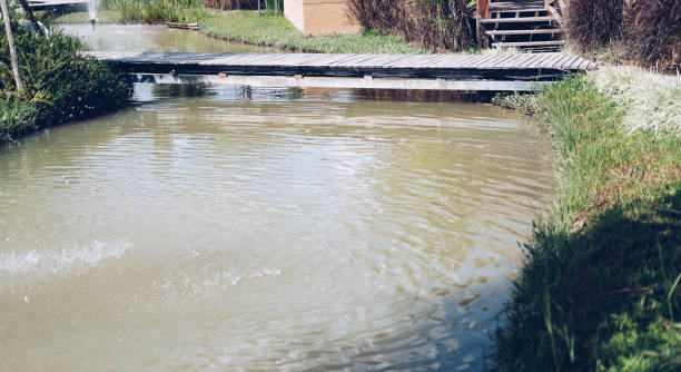 istock wooden bridge across pond in garden 1285483049