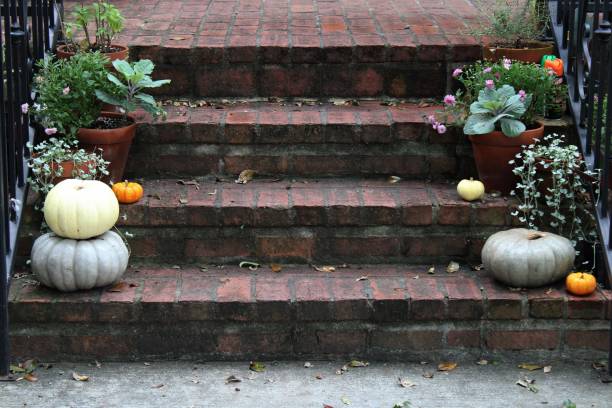 istock succulents and gourds on old brick steps 1285486373