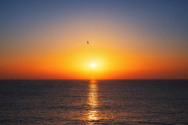 Beautiful sunrise over the sea