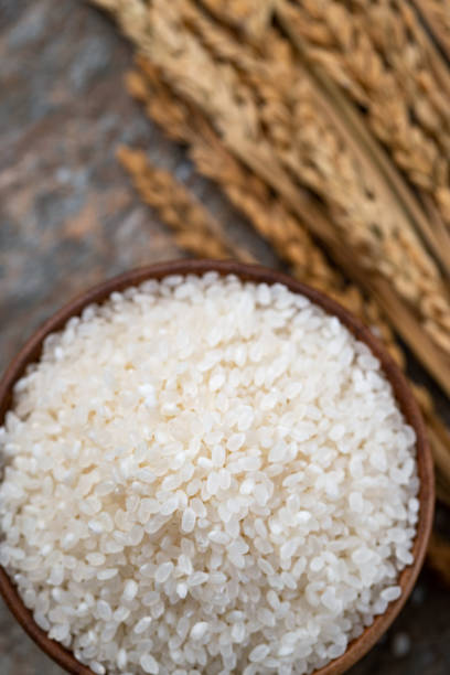 istock A bowl of rice and rice 1285489230