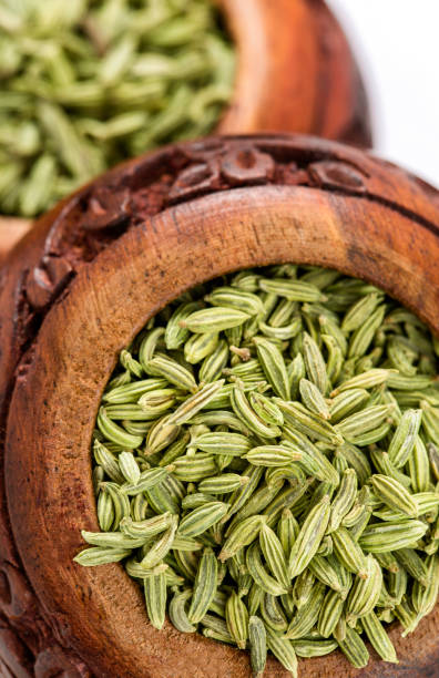 fennel seeds,  indian spice close-up shot - ingredient fennel food dry imagens e fotografias de stock