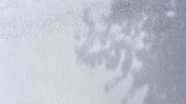 istock large empty white concrete wall with shadows from tree branch with mockup place 1285491255