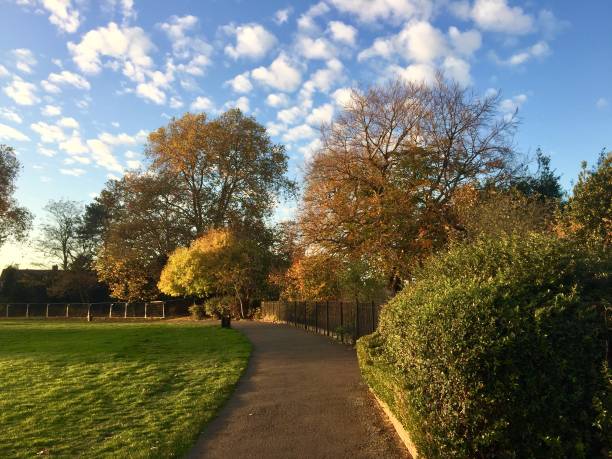 Autumnal Landscape Beautiful autumnal afternoon in England borough of bromley stock pictures, royalty-free photos & images
