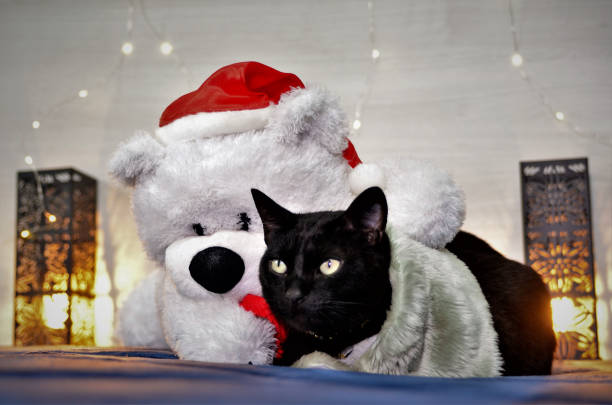 istock Beautiful bobtail cat and Christmas bear 1285494975
