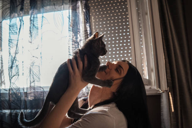 istock I have most playful cat in the World 1285498476