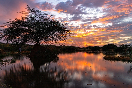 beautiful vivid sunset at golden hour and reflection of tree and clouds in the water pond.
