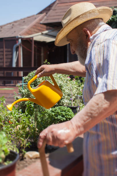 istock elderly man with walking stick watering flowers on terrace 1285501323
