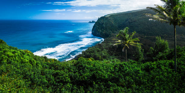 panorama der nordküste der big island - hawaii islands stock-fotos und bilder