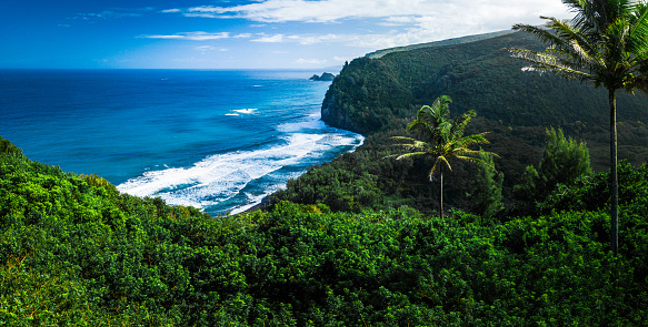 Panorama of the northern coast of the Big Island with steep green cliffs and blue Pacific Ocean, Hawaii