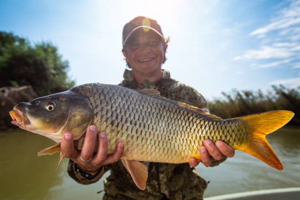 istock Happy young fisherman holds the big Carp fish 1285502714