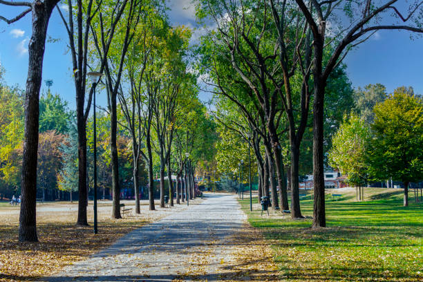 istock Pellerina public park in Turin (Piedmont, Italy). 1285503393