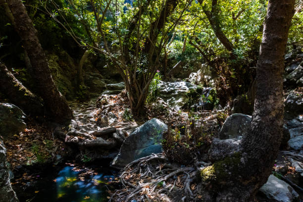 istock Beautiful scenery in a narrow gorge in rural Crete 1285503863