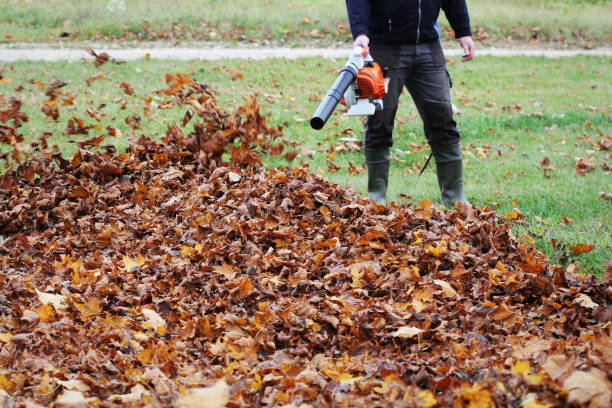 istock Worker cleaning falling leaves in autumn park. Man using leaf blower for cleaning autumn leaves. Autumn season. Park cleaning service. 1285504875