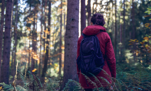 istock Woman in the woods 1285506109