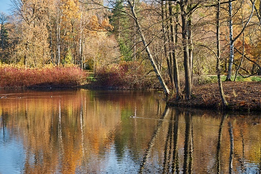 beautiful autumn landscape with a reflection of trees in the water of a lake, pond or river